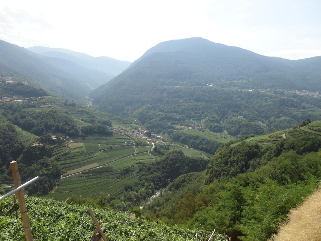 Hotel Al Caminetto Cembra Lisignago Buitenkant foto